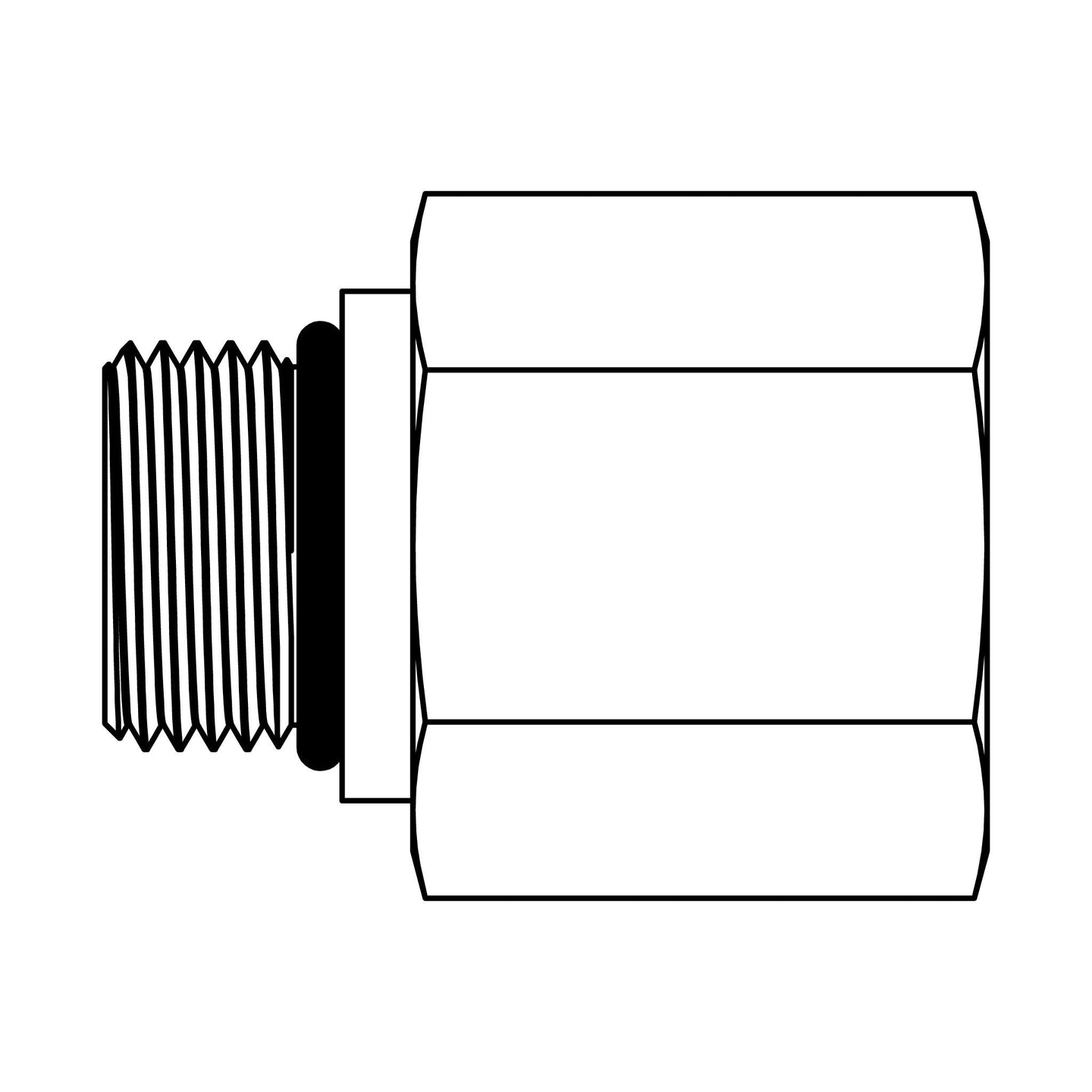 SS - 6405 - 16 - 08 - FG O-Ring to Pipe - GetHydraulics.com
