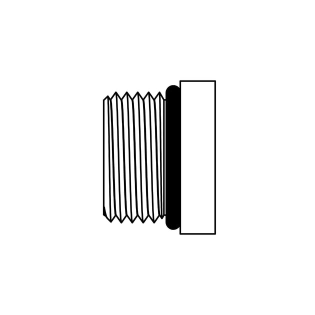 SS - 6408 - HHP - 05 - FG O-Ring Hollow Hex Plug - GetHydraulics.com