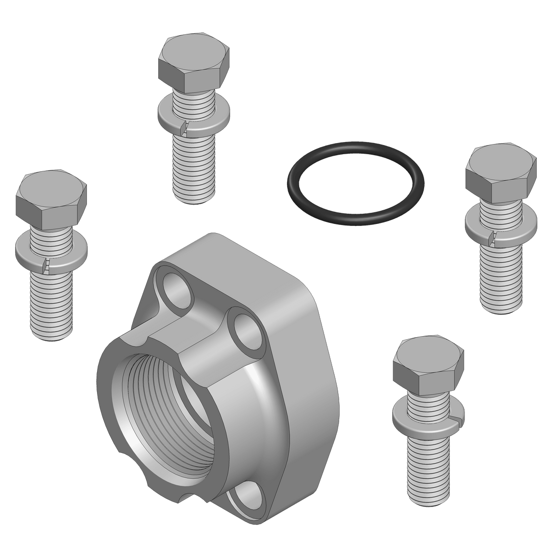 W48K - 12 - 12 O-Ring Flange Pad - Code 62 - GetHydraulics.com