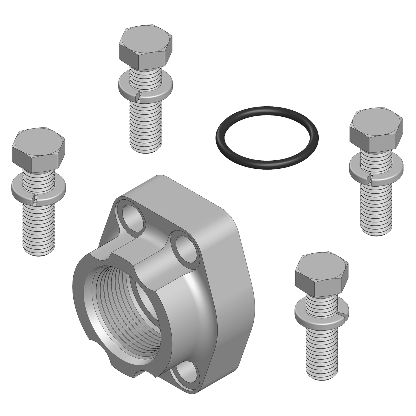 W48K - 12 - 12 O-Ring Flange Pad - Code 62 - GetHydraulics.com